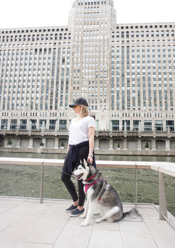 Leggings and v-neck tee outfit on the Chicago River