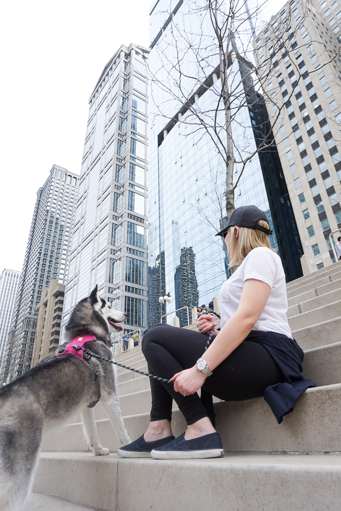 On stairs on Chicago River with dog