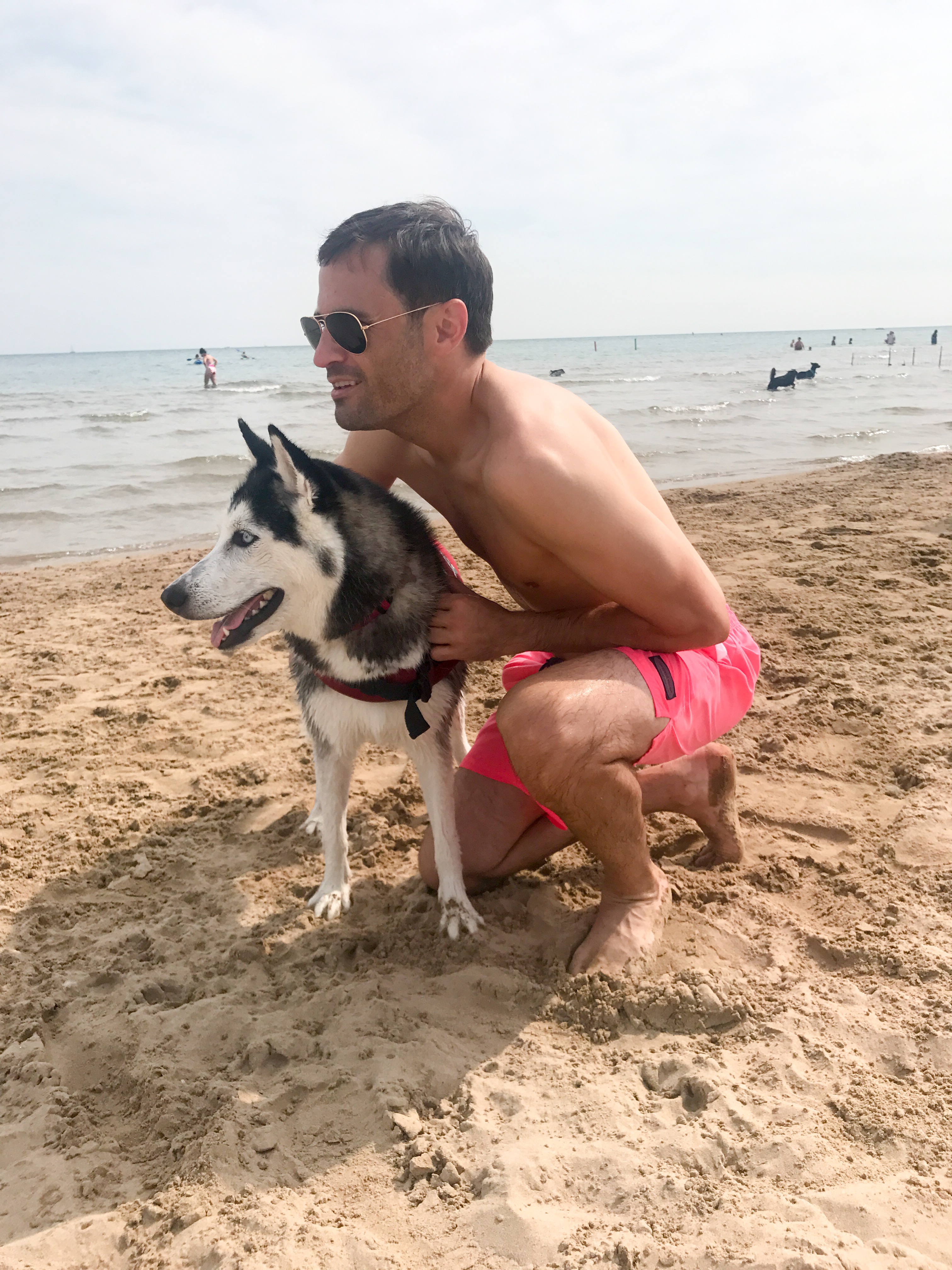 dog beach