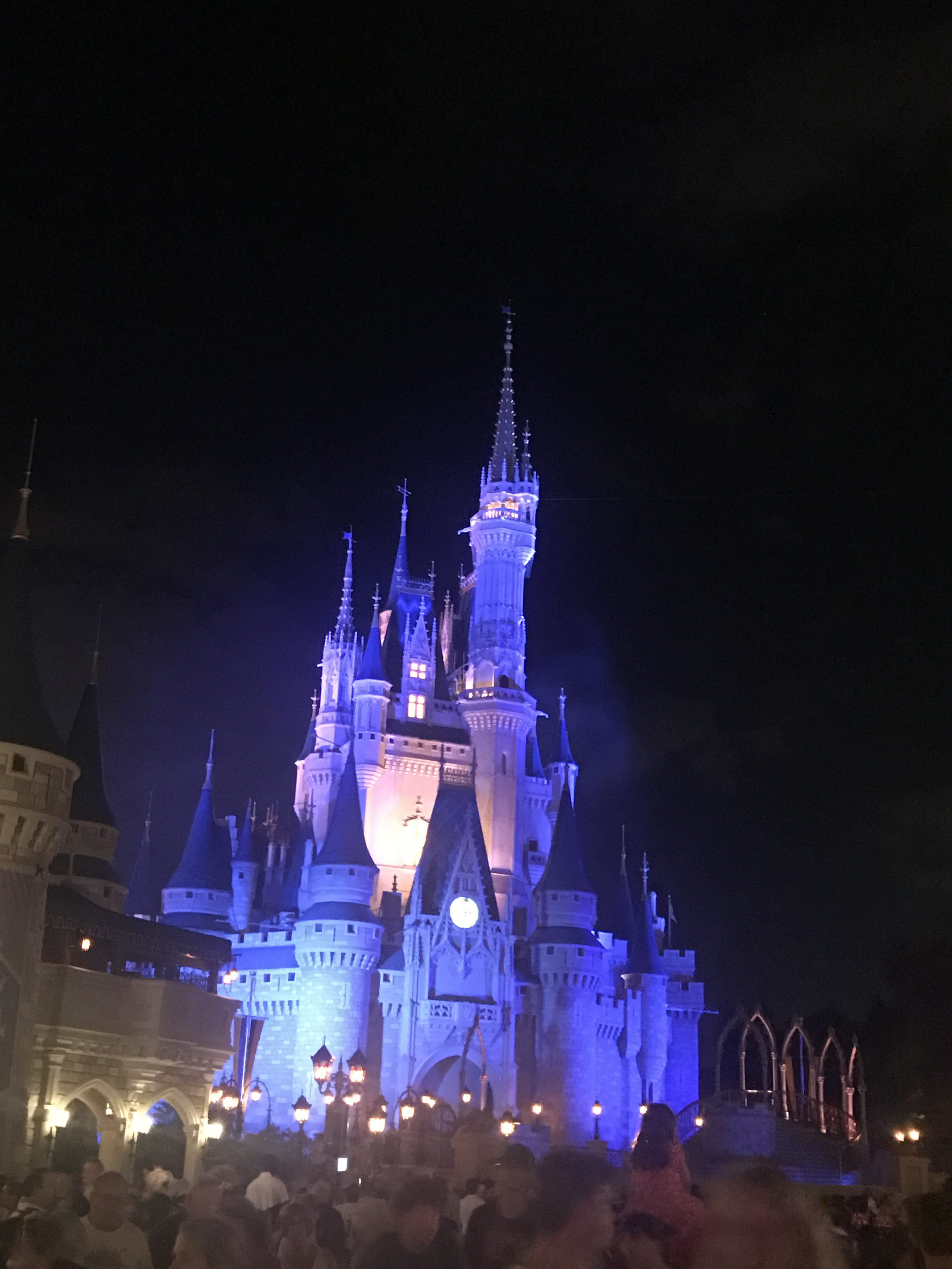 Cinderella's Castle