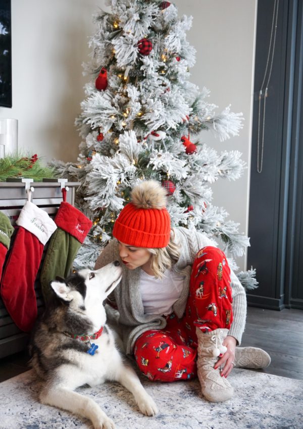 gift guide for the dog lover
