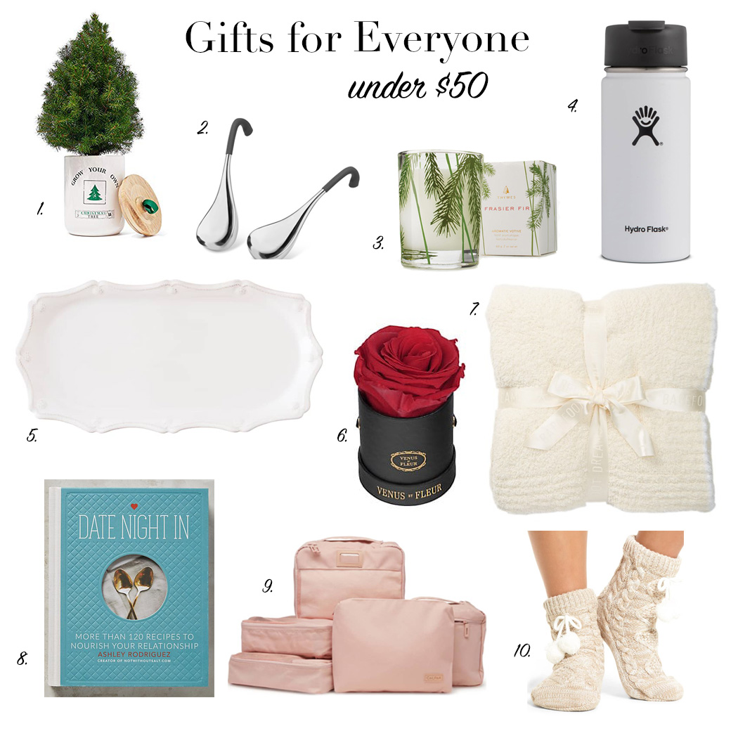 Gifts for everyone under $50