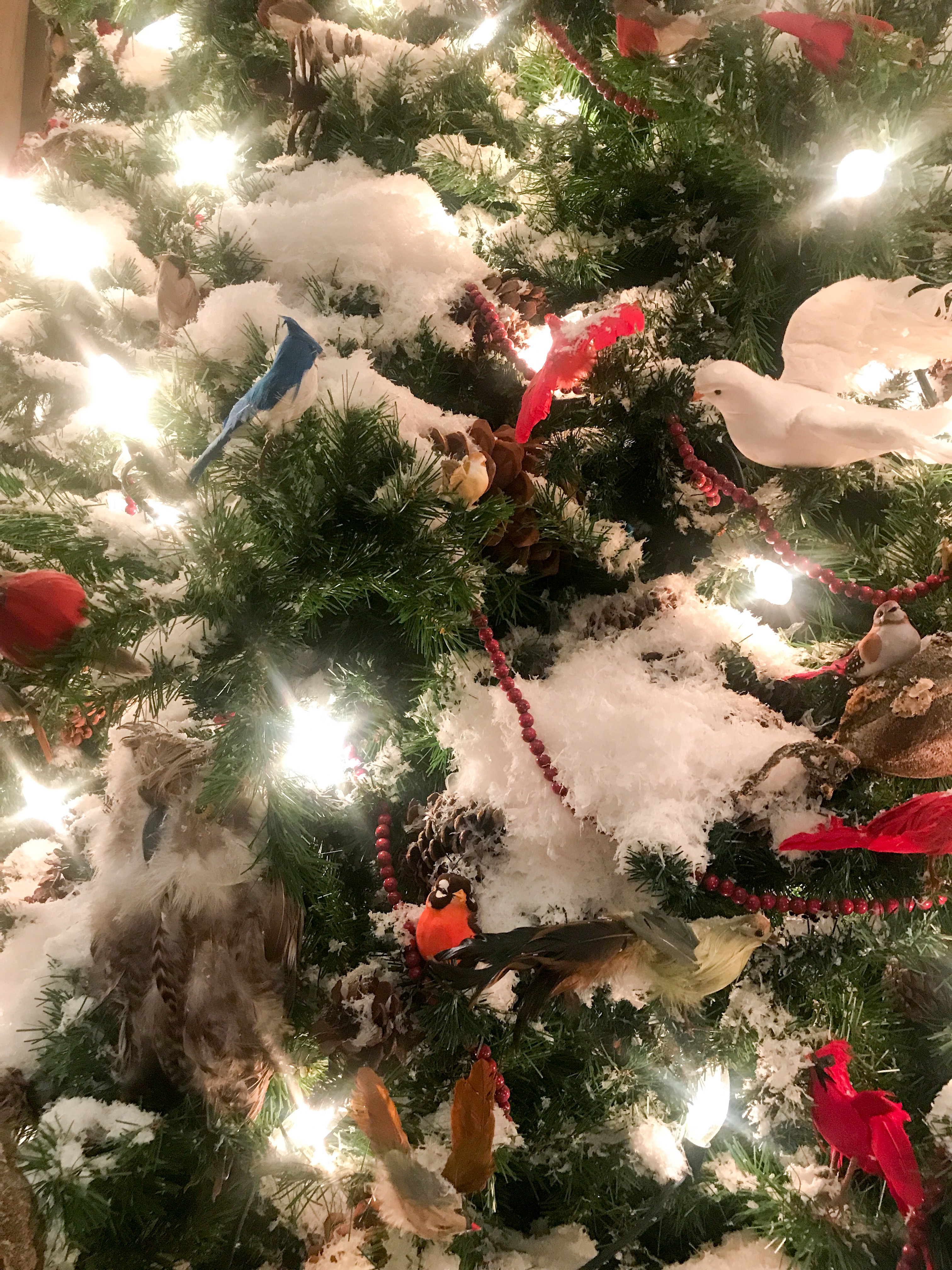 Christmas tree at the New York Public Library