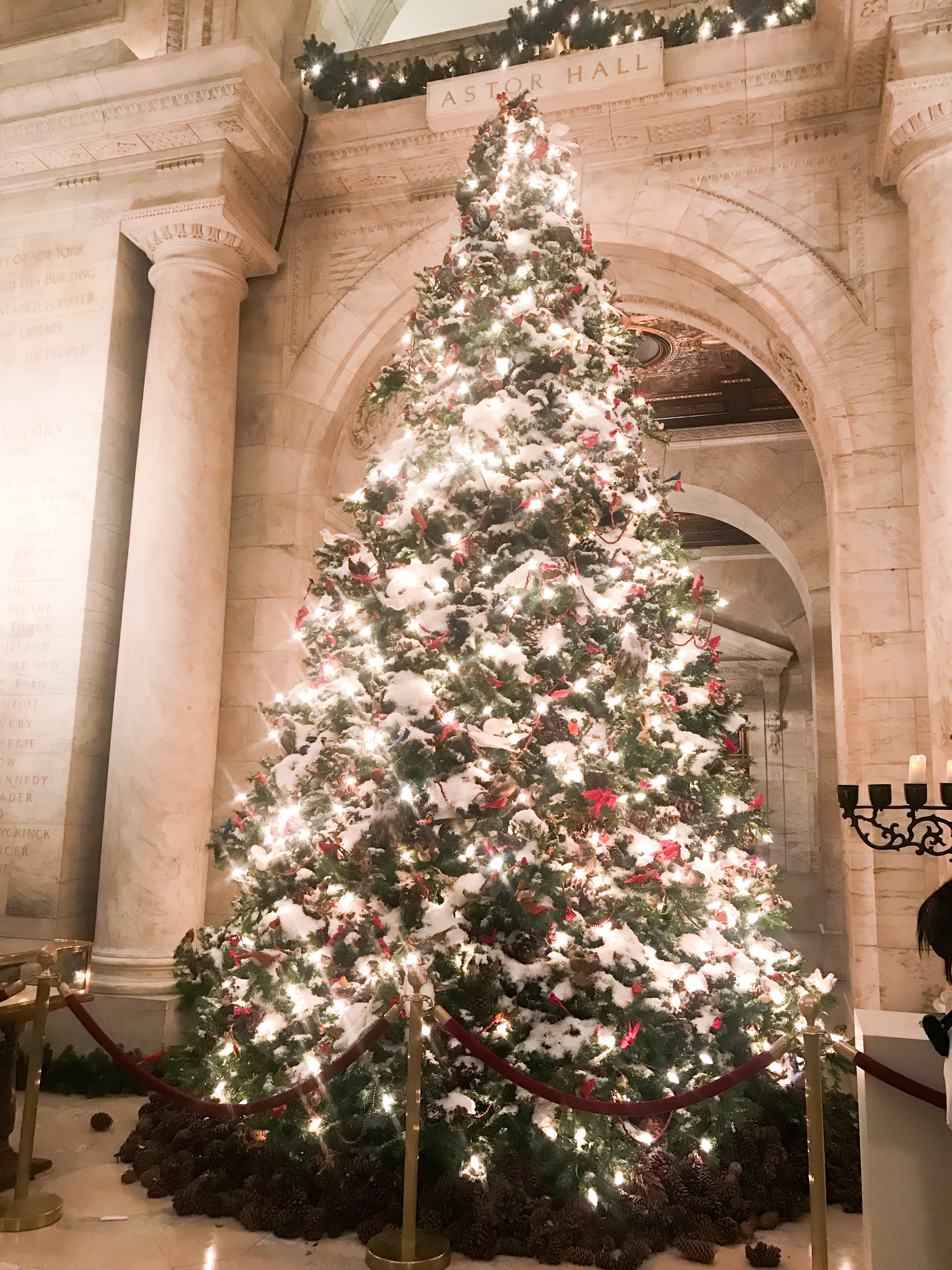 Christmas tree at the New York Public Library