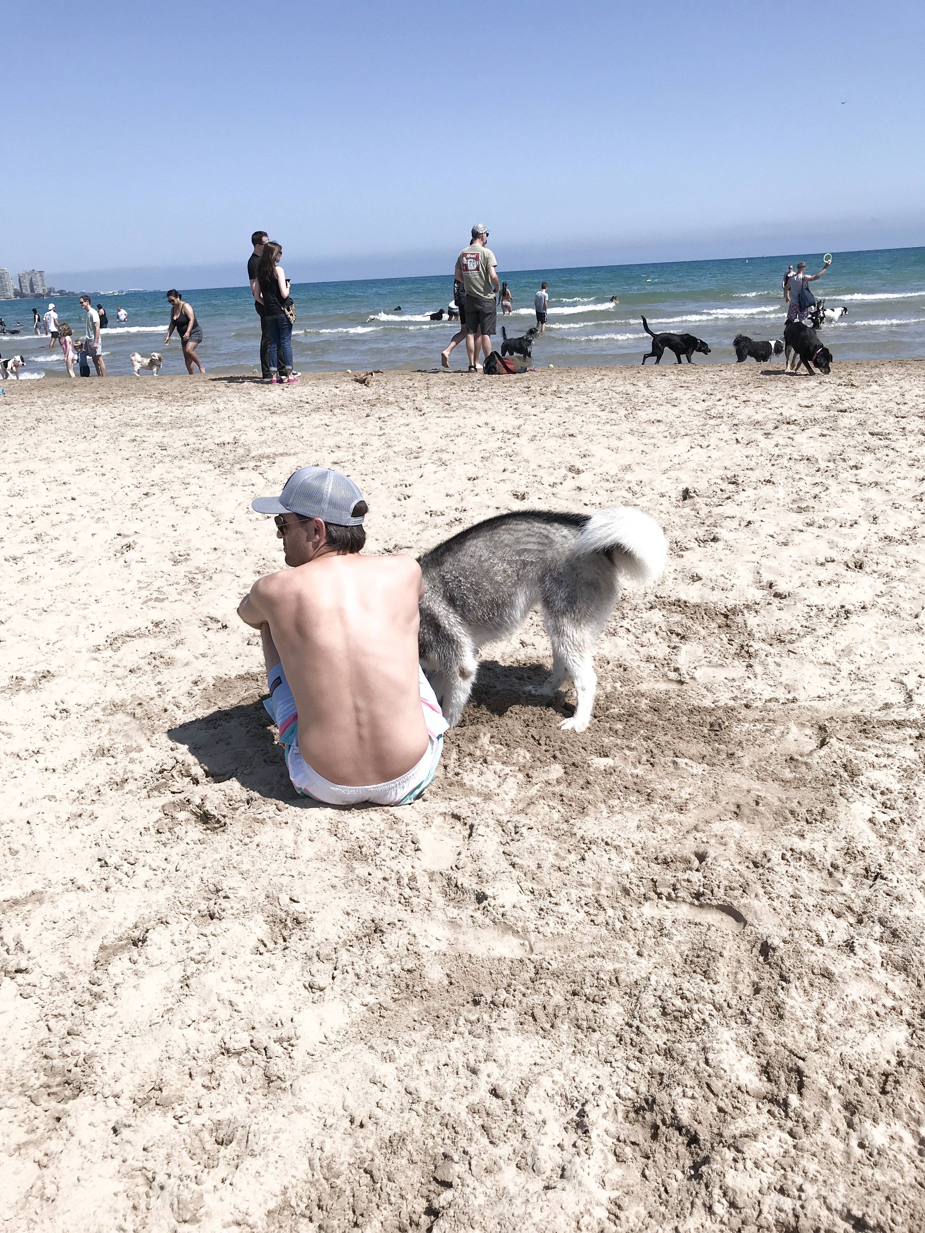 dog beach