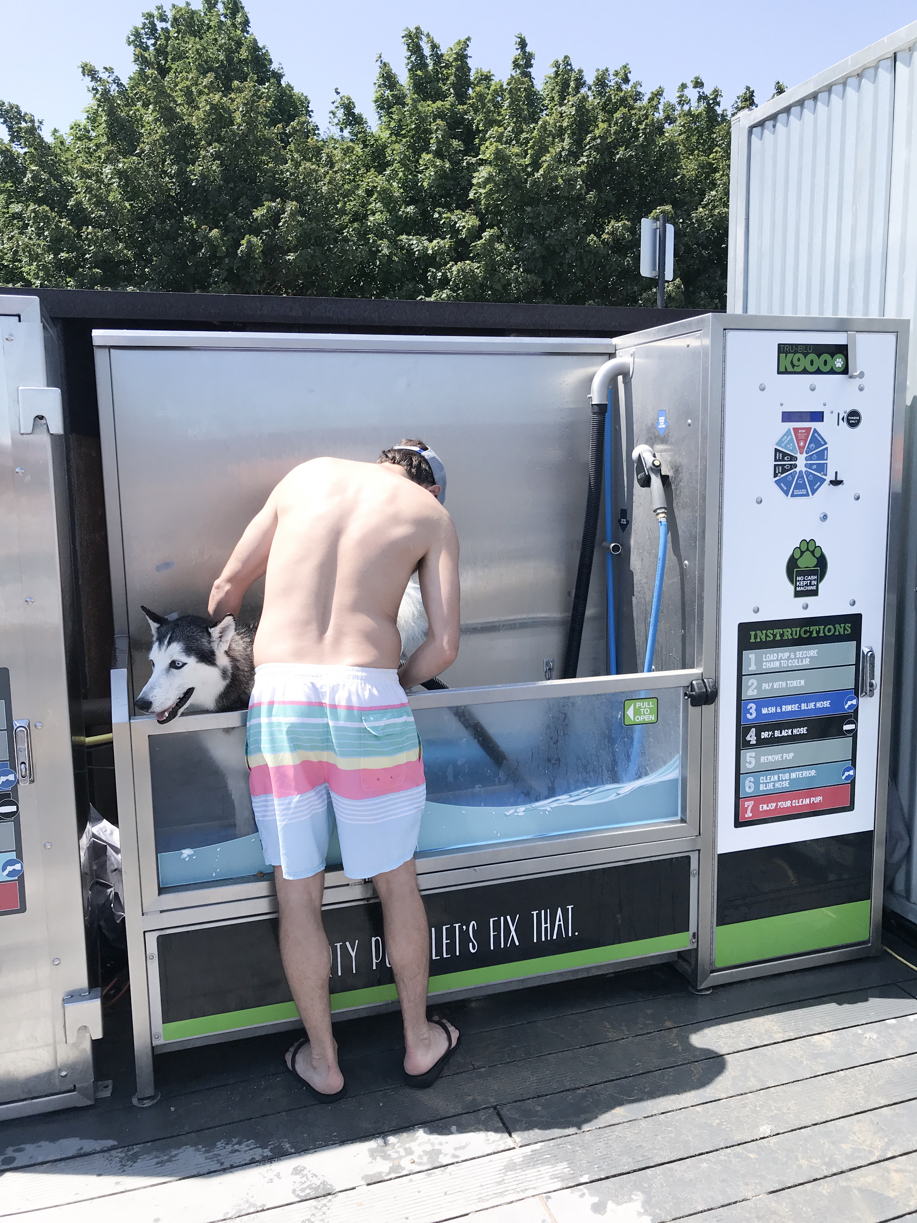 dog bath at the dog beach