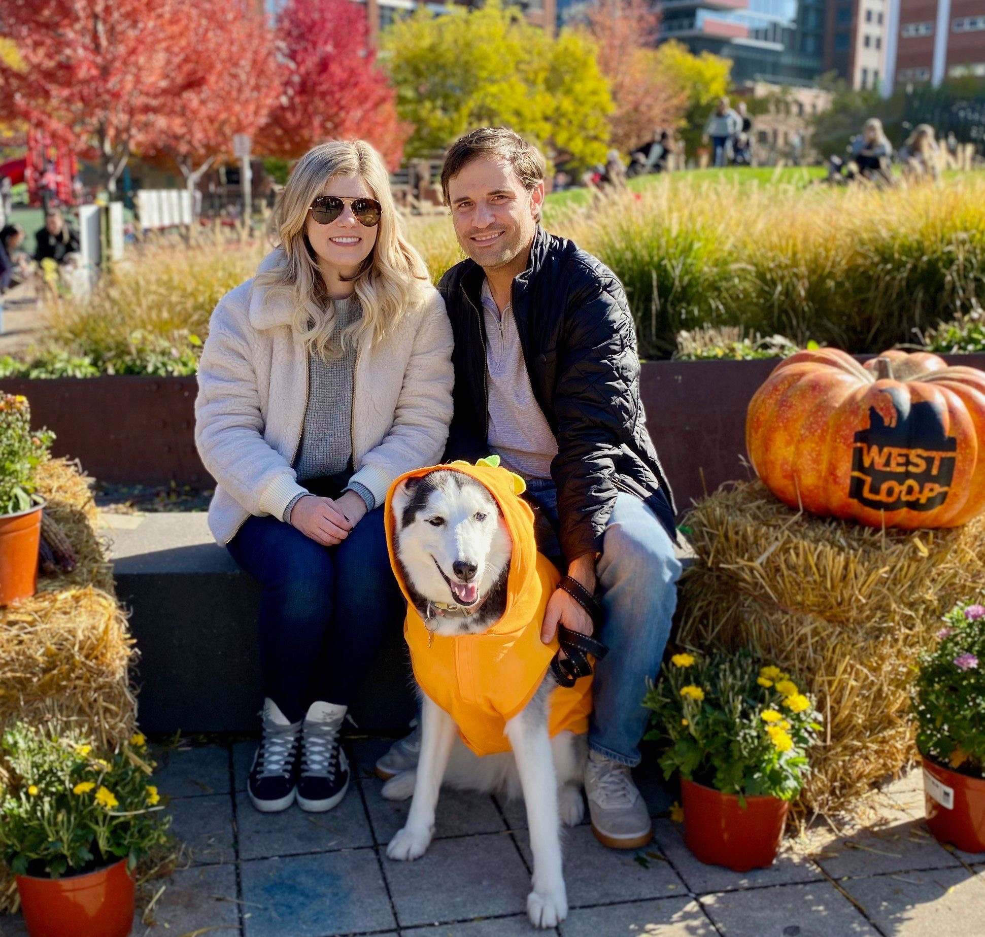 dog halloween party