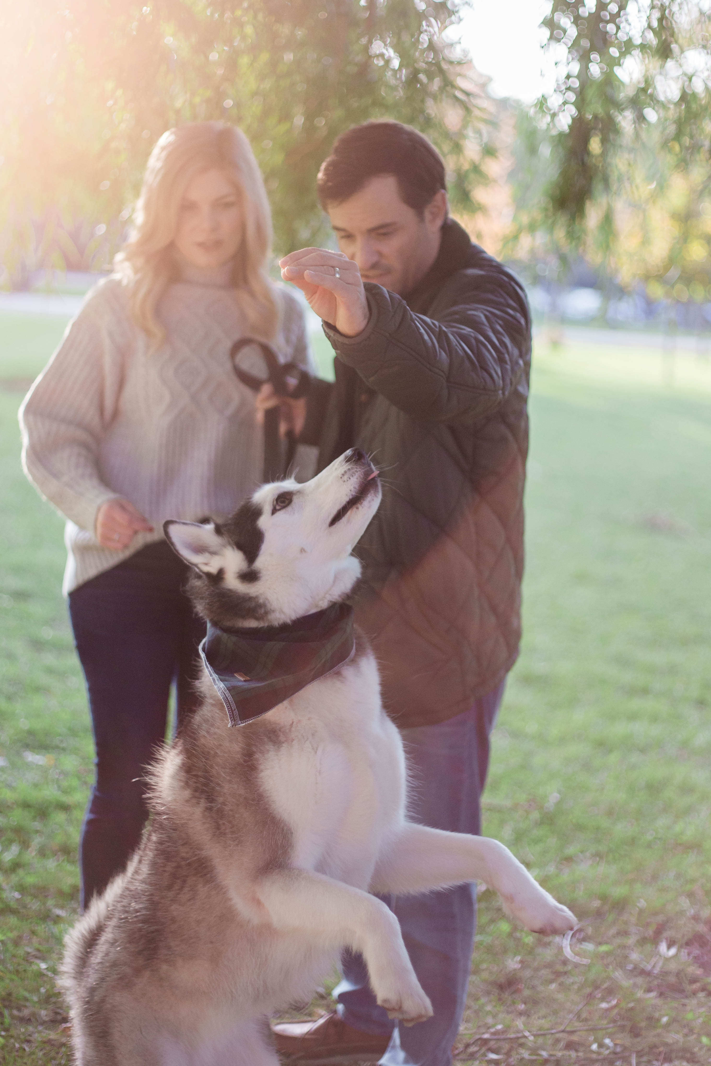 fall family photos