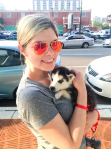 Husky puppy