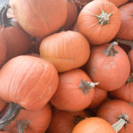 Fun Fall Things To Do This Season