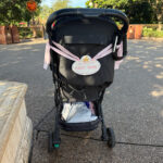 Travel Must Haves for Disney World in September